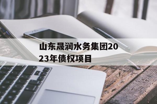 山东晟润水务集团2023年债权项目