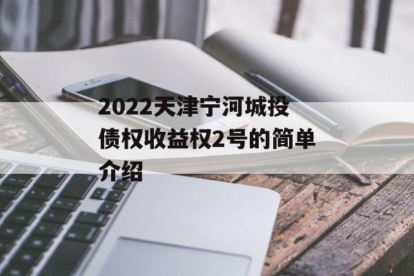 2022天津宁河城投债权收益权2号的简单介绍
