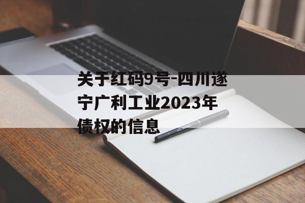 关于红码9号-四川遂宁广利工业2023年债权的信息