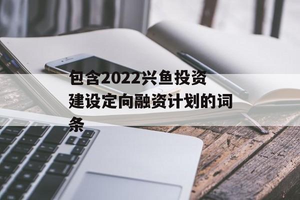 包含2022兴鱼投资建设定向融资计划的词条
