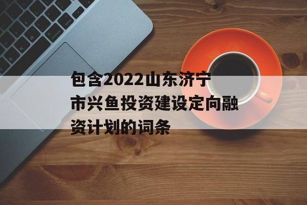 包含2022山东济宁市兴鱼投资建设定向融资计划的词条