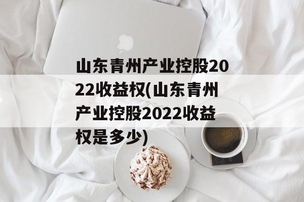 山东青州产业控股2022收益权(山东青州产业控股2022收益权是多少)