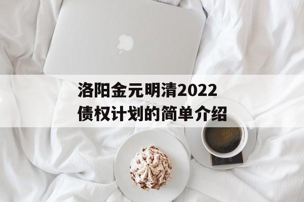 洛阳金元明清2022债权计划的简单介绍