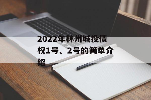 2022年林州城投债权1号、2号的简单介绍