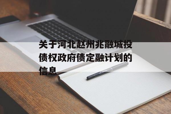 关于河北赵州兆融城投债权政府债定融计划的信息