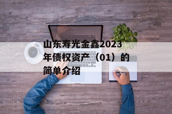 山东寿光金鑫2023年债权资产（01）的简单介绍