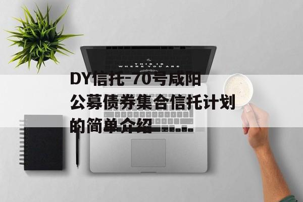 DY信托-70号咸阳公募债券集合信托计划的简单介绍