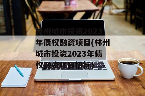 林州城市投资2023年债权融资项目(林州城市投资2023年债权融资项目招标)