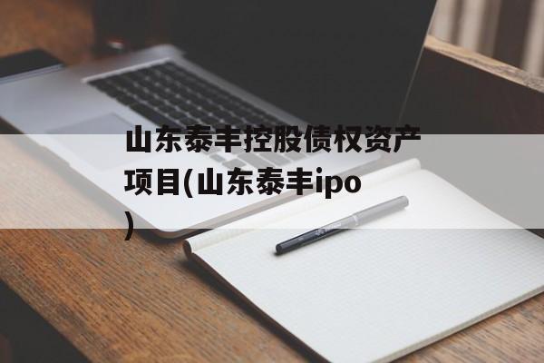 山东泰丰控股债权资产项目(山东泰丰ipo)