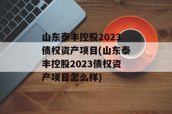 山东泰丰控股2023债权资产项目(山东泰丰控股2023债权资产项目怎么样)