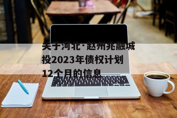 关于河北·赵州兆融城投2023年债权计划12个月的信息