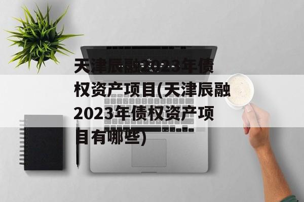 天津辰融2023年债权资产项目(天津辰融2023年债权资产项目有哪些)