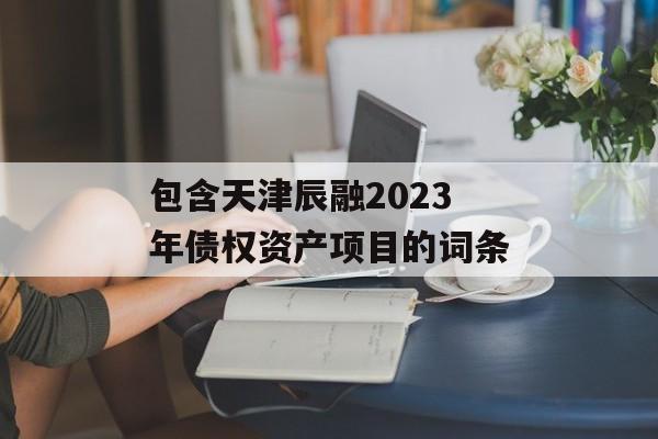 包含天津辰融2023年债权资产项目的词条