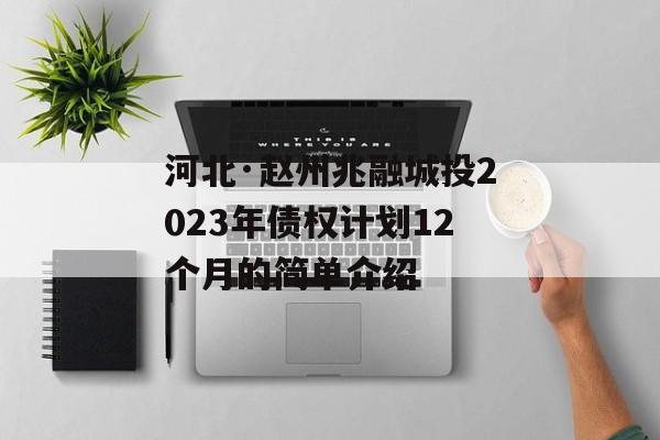 河北·赵州兆融城投2023年债权计划12个月的简单介绍