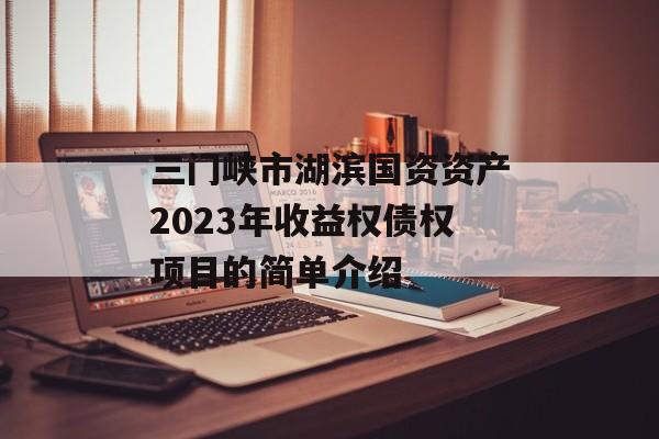 三门峡市湖滨国资资产2023年收益权债权项目的简单介绍