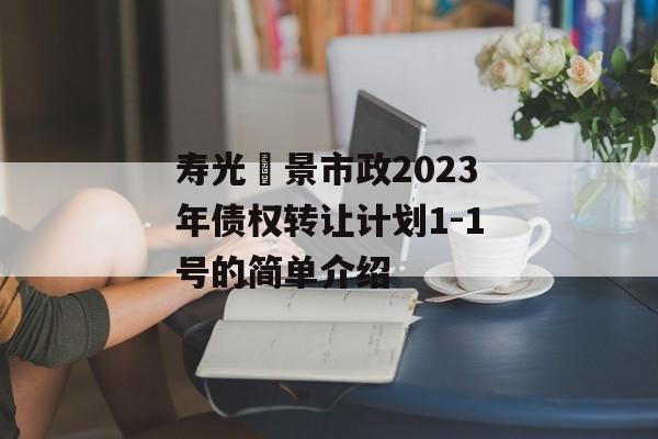 寿光昇景市政2023年债权转让计划1-1号的简单介绍