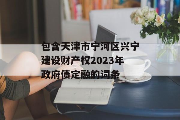 包含天津市宁河区兴宁建设财产权2023年政府债定融的词条
