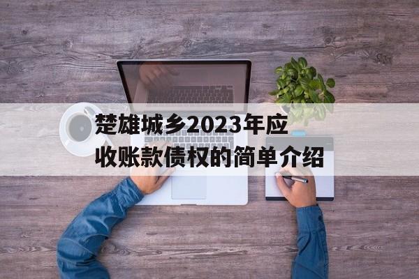 楚雄城乡2023年应收账款债权的简单介绍