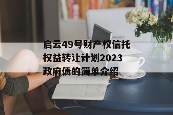 启云49号财产权信托权益转让计划2023政府债的简单介绍