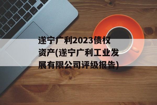 遂宁广利2023债权资产(遂宁广利工业发展有限公司评级报告)