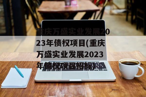 重庆万盛实业发展2023年债权项目(重庆万盛实业发展2023年债权项目招标)