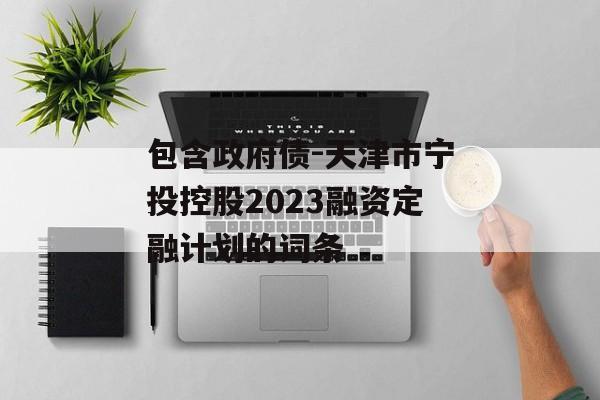 包含政府债-天津市宁投控股2023融资定融计划的词条
