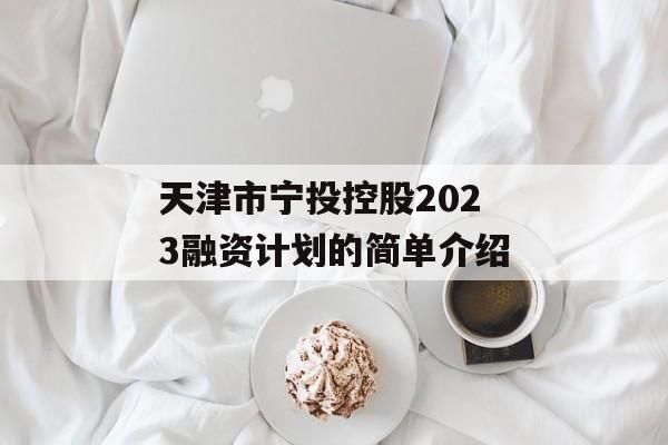 天津市宁投控股2023融资计划的简单介绍