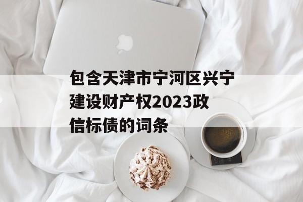 包含天津市宁河区兴宁建设财产权2023政信标债的词条