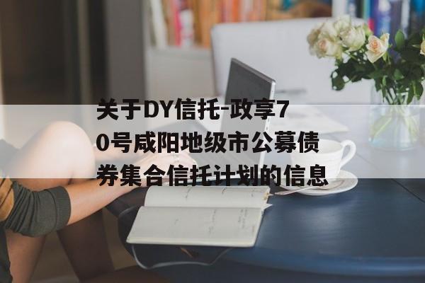 关于DY信托-政享70号咸阳地级市公募债券集合信托计划的信息