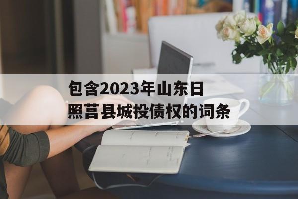 包含2023年山东日照莒县城投债权的词条