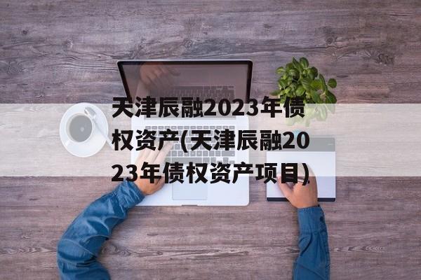 天津辰融2023年债权资产(天津辰融2023年债权资产项目)