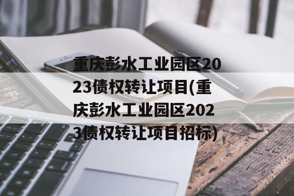 重庆彭水工业园区2023债权转让项目(重庆彭水工业园区2023债权转让项目招标)