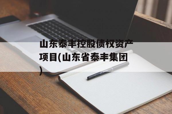 山东泰丰控股债权资产项目(山东省泰丰集团)