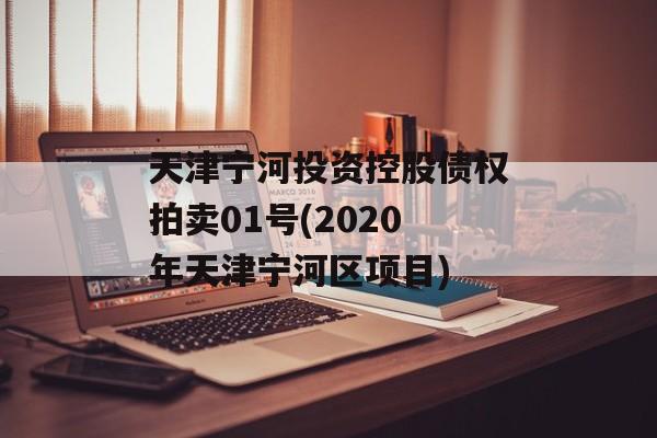 天津宁河投资控股债权拍卖01号(2020年天津宁河区项目)