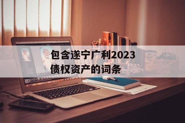 包含遂宁广利2023债权资产的词条