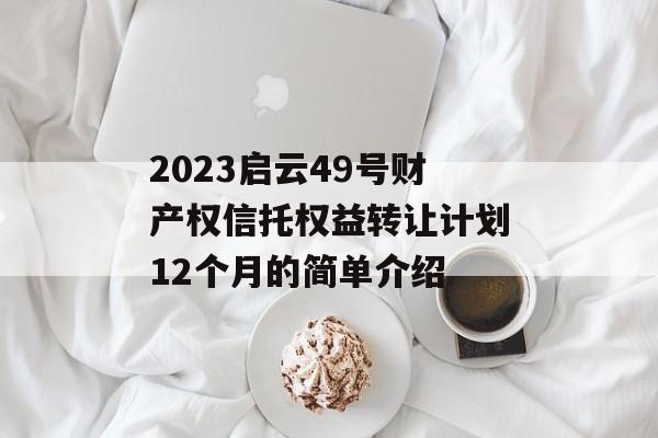 2023启云49号财产权信托权益转让计划12个月的简单介绍