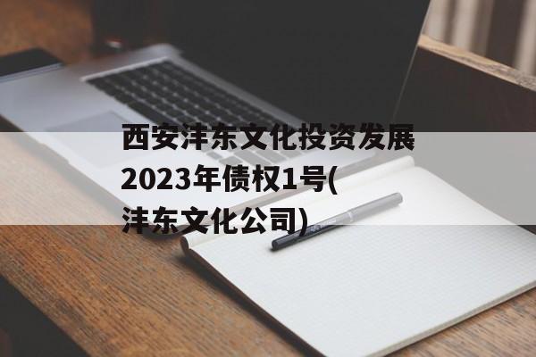 西安沣东文化投资发展2023年债权1号(沣东文化公司)
