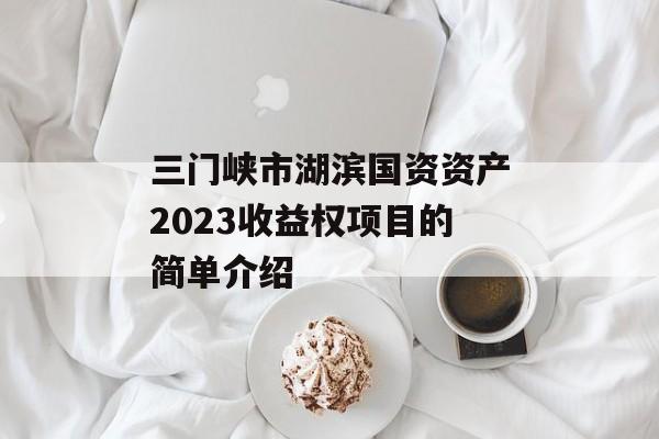 三门峡市湖滨国资资产2023收益权项目的简单介绍