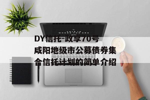DY信托-政享70号咸阳地级市公募债券集合信托计划的简单介绍