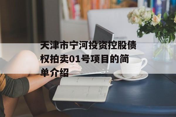 天津市宁河投资控股债权拍卖01号项目的简单介绍