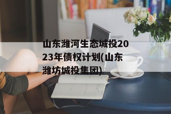 山东潍河生态城投2023年债权计划(山东潍坊城投集团)
