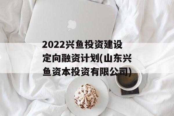 2022兴鱼投资建设定向融资计划(山东兴鱼资本投资有限公司)