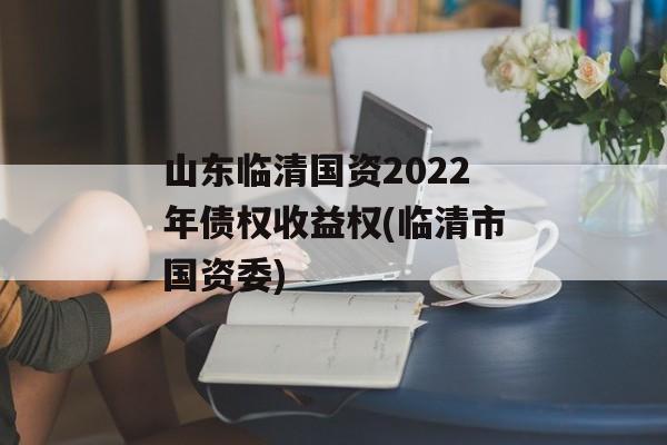 山东临清国资2022年债权收益权(临清市国资委)
