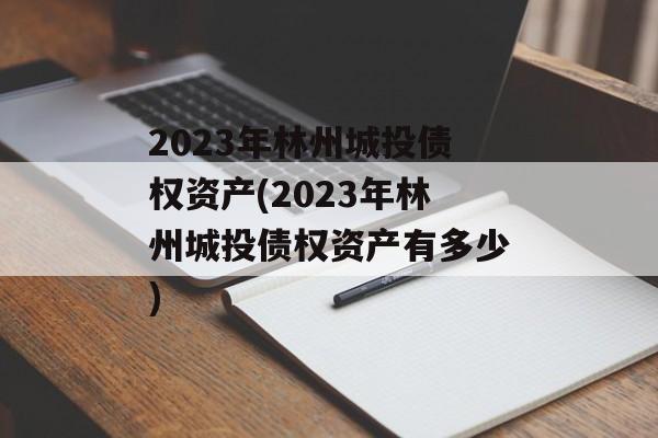 2023年林州城投债权资产(2023年林州城投债权资产有多少)