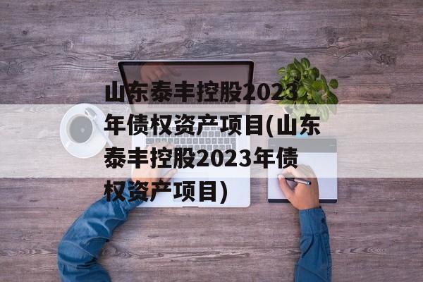 山东泰丰控股2023年债权资产项目(山东泰丰控股2023年债权资产项目)