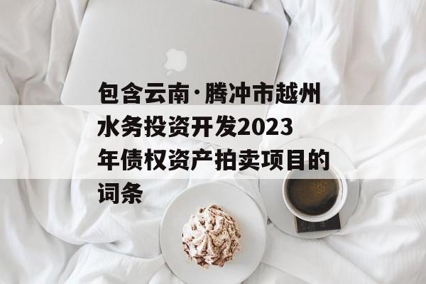 包含云南·腾冲市越州水务投资开发2023年债权资产拍卖项目的词条