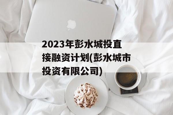 2023年彭水城投直接融资计划(彭水城市投资有限公司)
