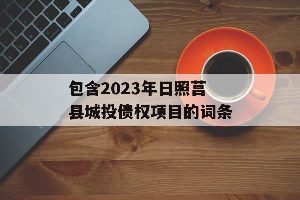 包含2023年日照莒县城投债权项目的词条