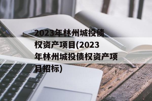 2023年林州城投债权资产项目(2023年林州城投债权资产项目招标)