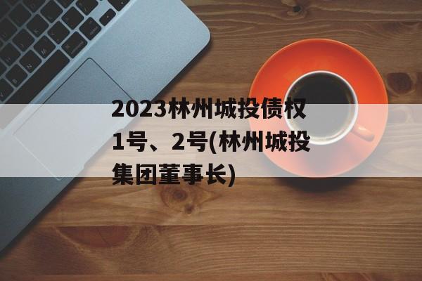2023林州城投债权1号、2号(林州城投集团董事长)